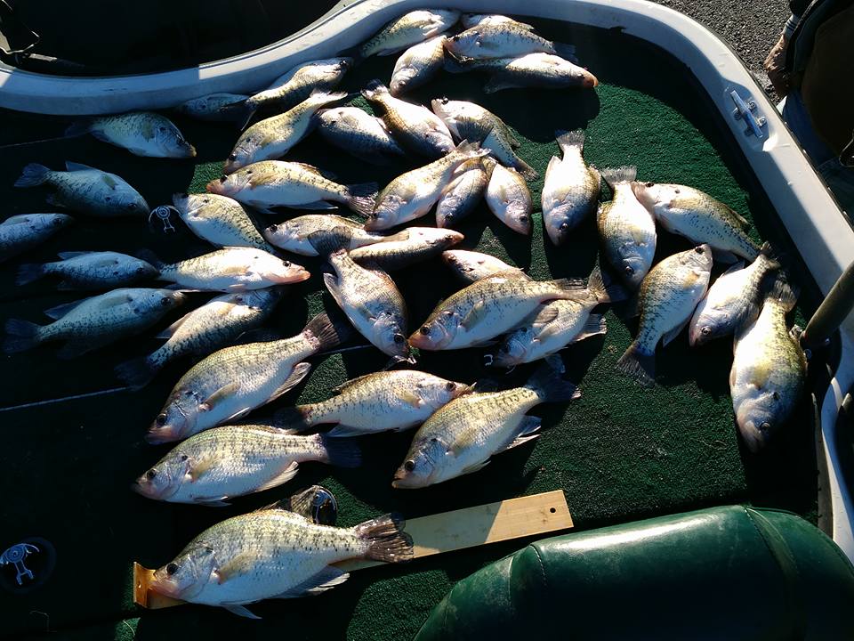 January Crappie fishing with Bobby Garland jigs, slip bobbers and a hand  tied jig